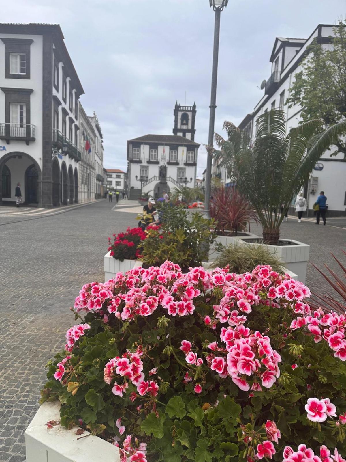 Azor International Apartment I Ponta Delgada Buitenkant foto